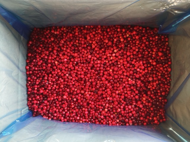 IQF Sour Cherries