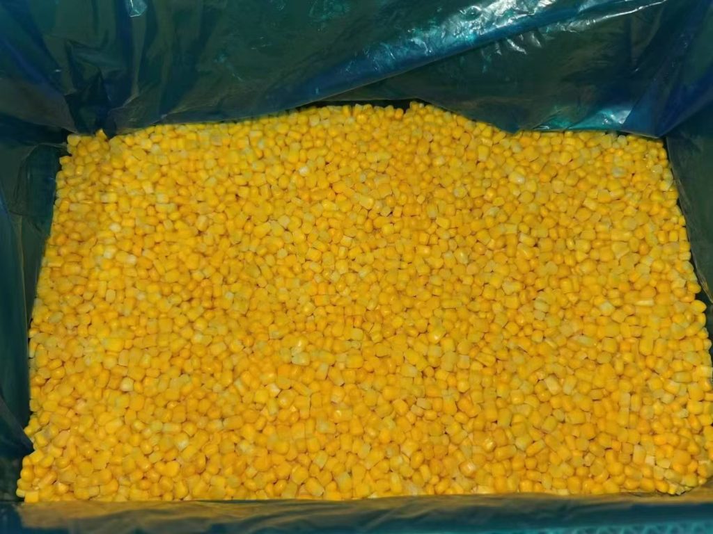 IQF Sweet Corn