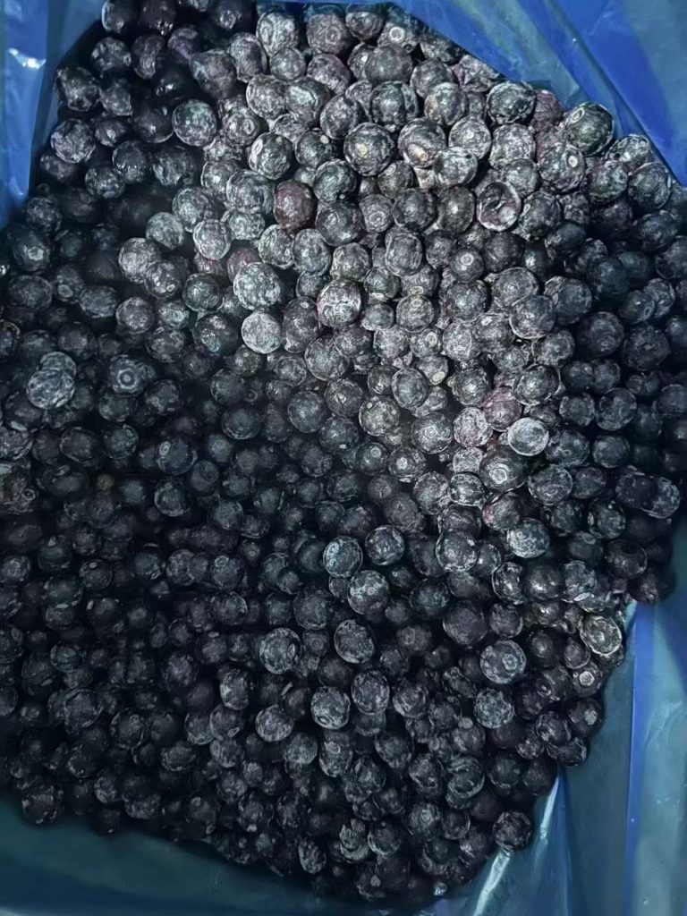 IQF Blueberries