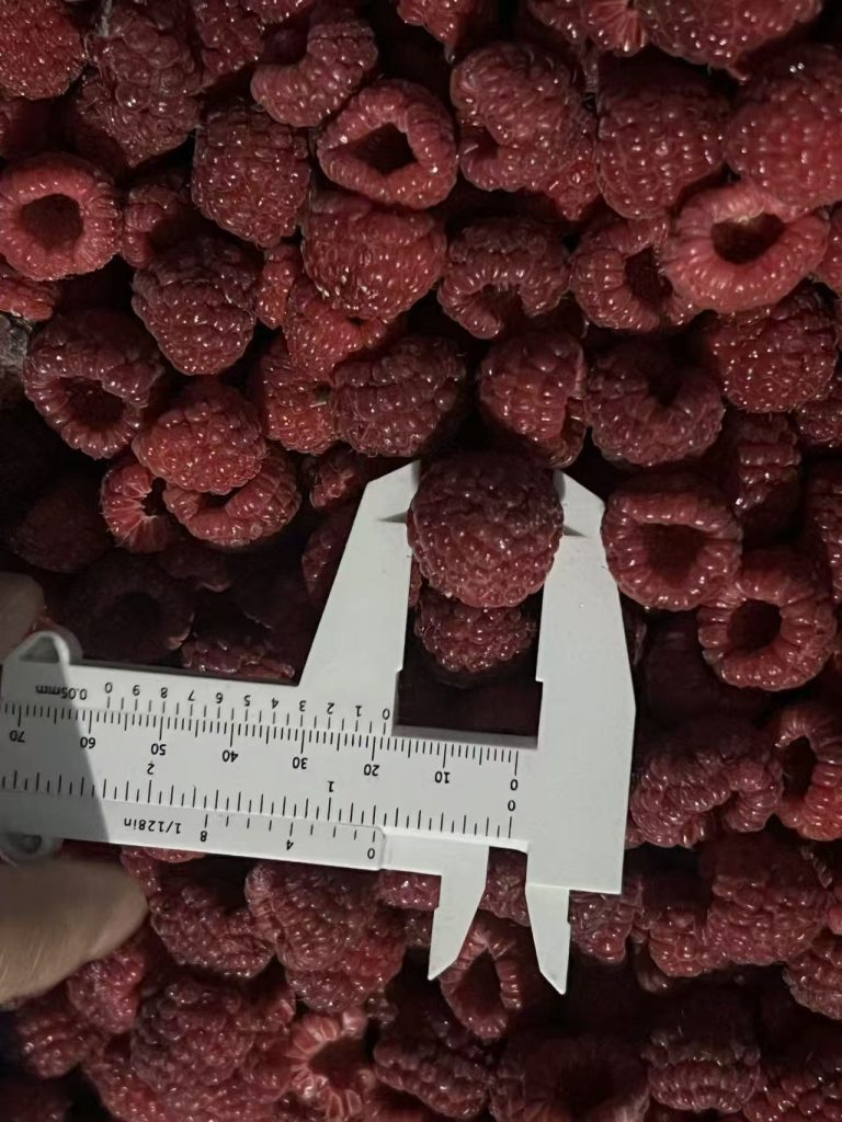 IQF Raspberries